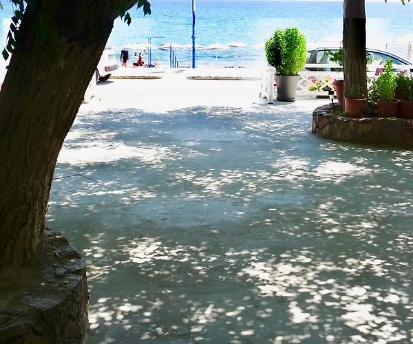 Apartament Stegna Dream *