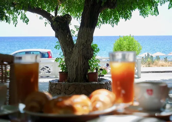 Apartament Stegna Dream *