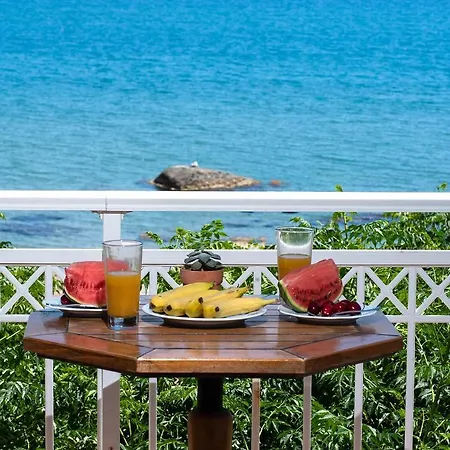 Apartman Stegna Dream *