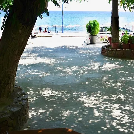 Apartment Stegna Dream *