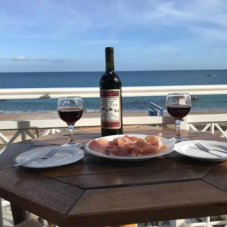 Stegna Dream * Arhángelosz