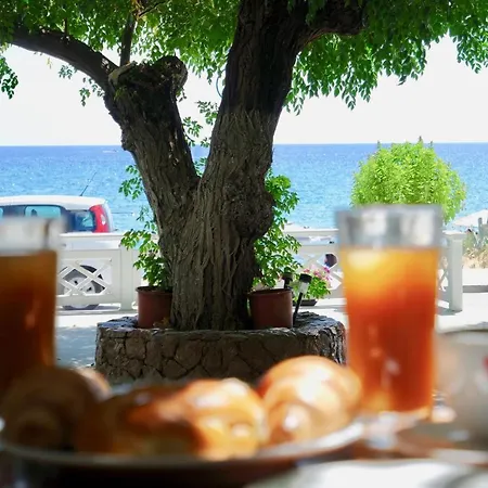 Apartment Stegna Dream *