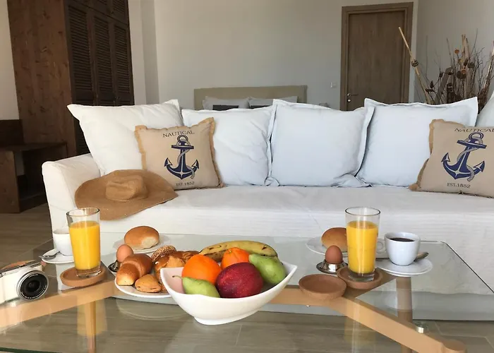 Stegna Dream アルハンゲロス